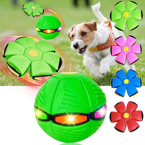 2023 New Pet Magic Flying Saucer Ball Toy